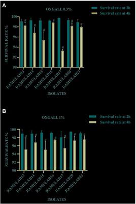 Isolation and characterization of lactic acid bacteria with potential probiotic activity and further investigation of their activity by α-amylase and α-glucosidase inhibitions of fermented batters